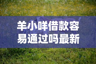 羊小咩借款容易通过吗最新实测