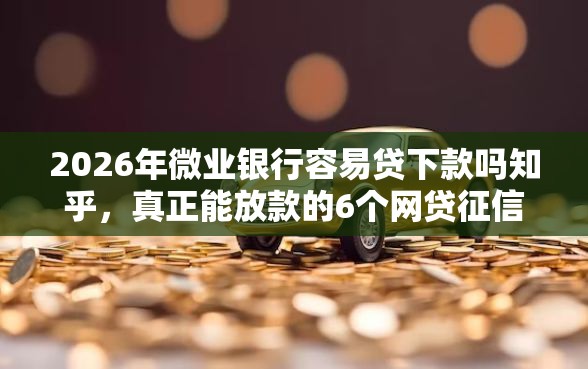 2026年微业银行容易贷下款吗知乎，真正能放款的6个网贷征信查询平台推荐