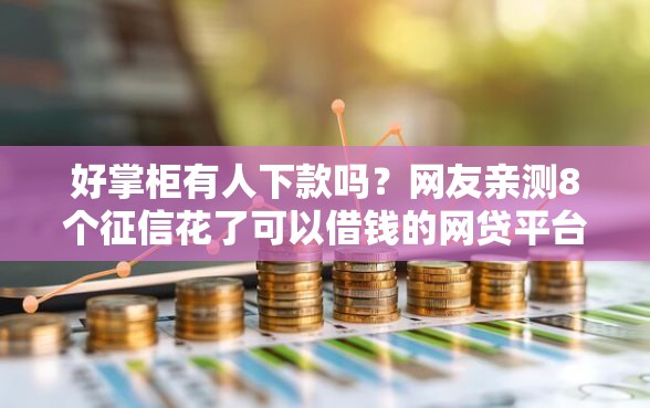好掌柜有人下款吗？网友亲测8个征信花了可以借钱的网贷平台盘点