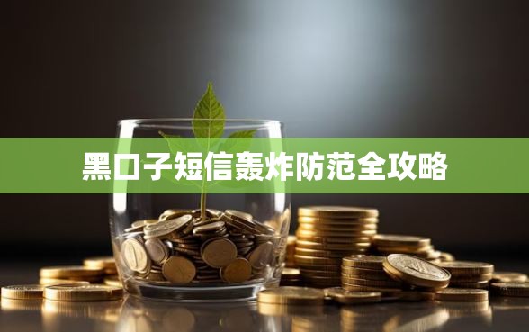 黑口子短信轰炸防范全攻略