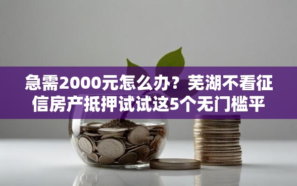 急需2000元怎么办？芜湖不看征信房产抵押试试这5个无门槛平台