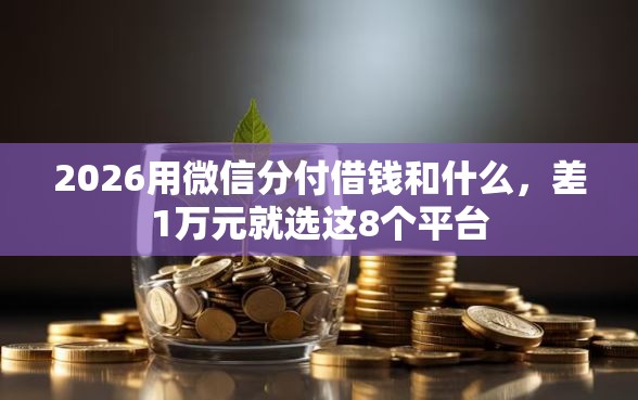 2026用微信分付借钱和什么，差1万元就选这8个平台