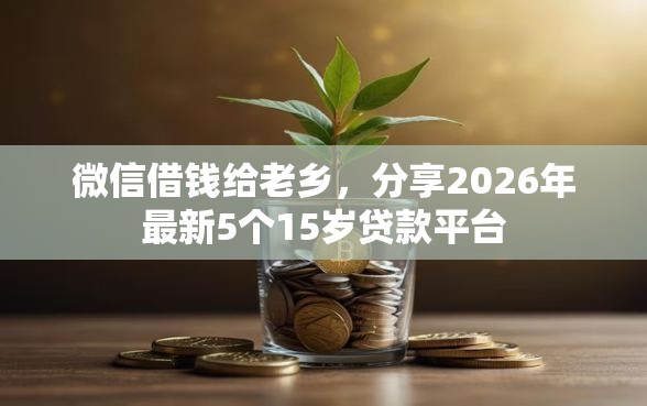 微信借钱给老乡，分享2026年最新5个15岁贷款平台