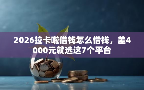 2026拉卡啦借钱怎么借钱，差4000元就选这7个平台