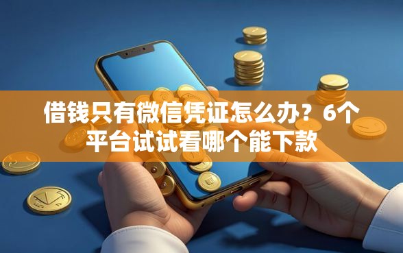 借钱只有微信凭证怎么办？6个平台试试看哪个能下款