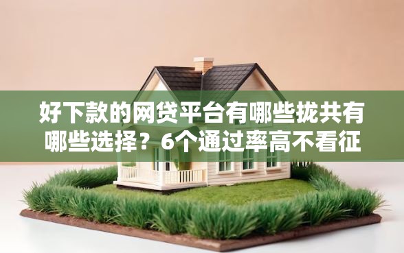 好下款的网贷平台有哪些拢共有哪些选择？6个通过率高不看征信的贷款平台详解