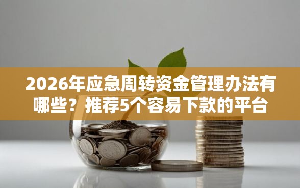 2026年应急周转资金管理办法有哪些？推荐5个容易下款的平台