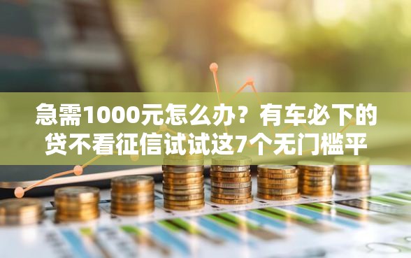 急需1000元怎么办？有车必下的贷不看征信试试这7个无门槛平台