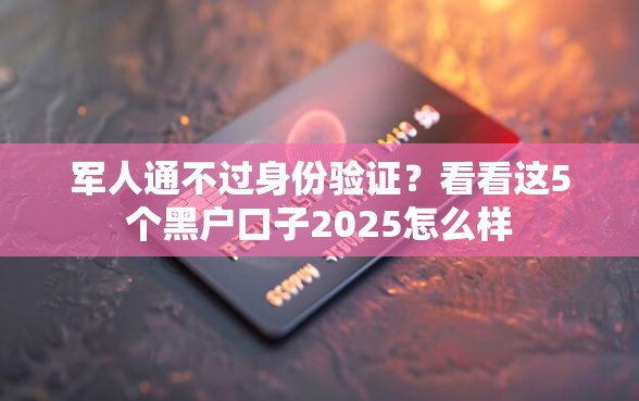 军人通不过身份验证？看看这5个黑户口子2025怎么样