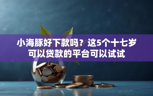 小海豚好下款吗？这5个十七岁可以贷款的平台可以试试