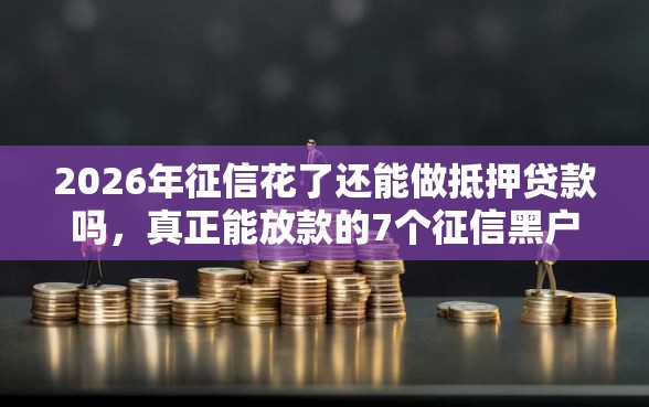 2026年征信花了还能做抵押贷款吗，真正能放款的7个征信黑户到平台可以借到钱推荐