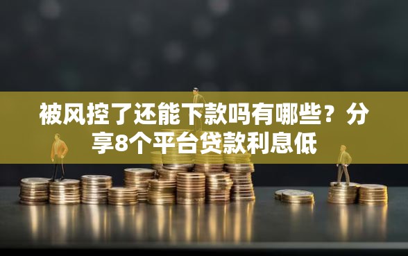 被风控了还能下款吗有哪些？分享8个平台贷款利息低