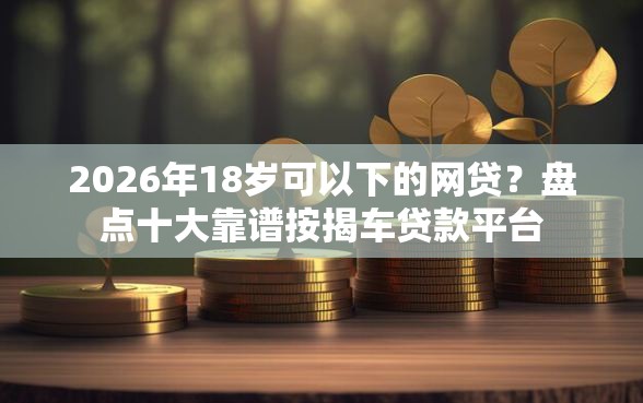 2026年18岁可以下的网贷？盘点十大靠谱按揭车贷款平台