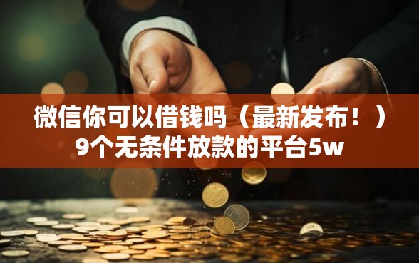 微信你可以借钱吗（最新发布！）9个无条件放款的平台5w