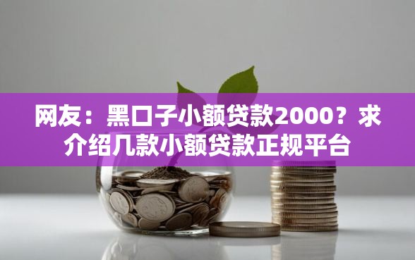 网友：黑口子小额贷款2000？求介绍几款小额贷款正规平台