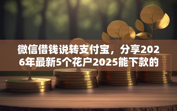 微信借钱说转支付宝，分享2026年最新5个花户2025能下款的口子