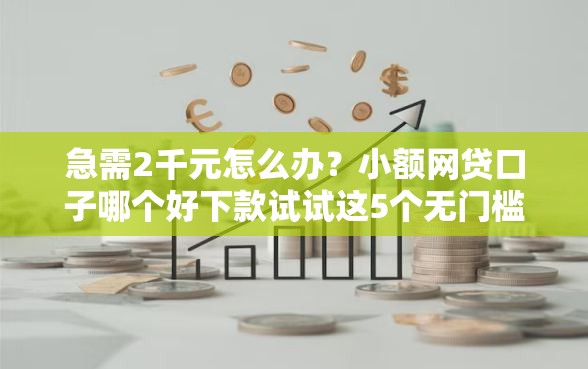 急需2千元怎么办？小额网贷口子哪个好下款试试这5个无门槛平台