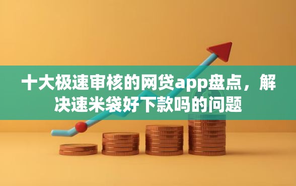 十大极速审核的网贷app盘点，解决速米袋好下款吗的问题