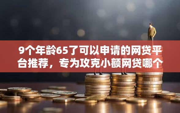9个年龄65了可以申请的网贷平台推荐，专为攻克小额网贷哪个容易下款难题