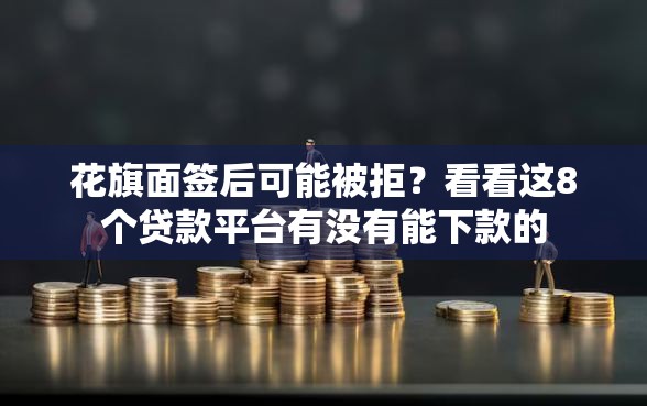 花旗面签后可能被拒？看看这8个贷款平台有没有能下款的