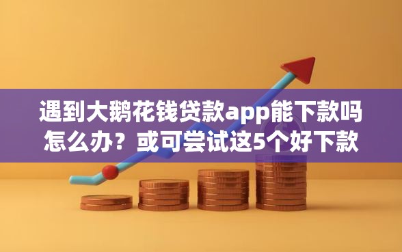 遇到大鹅花钱贷款app能下款吗怎么办？或可尝试这5个好下款不看征信贷款平台