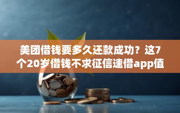 美团借钱要多久还款成功？这7个20岁借钱不求征信速借app值得一试