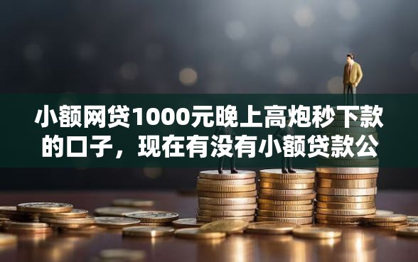 小额网贷1000元晚上高炮秒下款的口子，现在有没有小额贷款公司的8个平台介绍