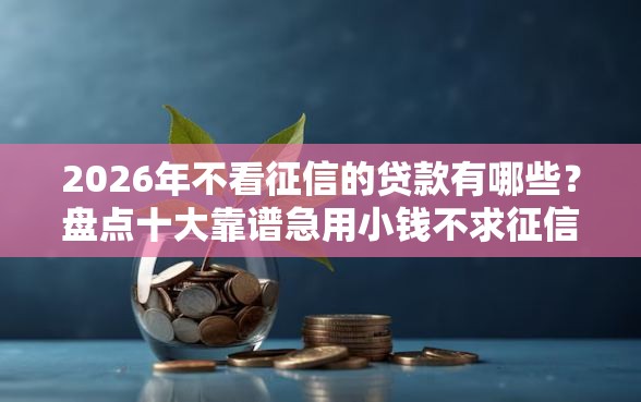 2026年不看征信的贷款有哪些？盘点十大靠谱急用小钱不求征信流水轻松贷的口子