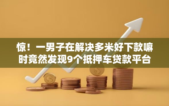 惊！一男子在解决多米好下款嘛时竟然发现9个抵押车贷款平台，事后分享了出来