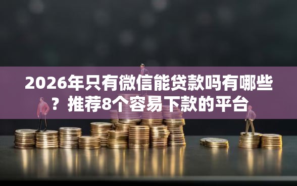 2026年只有微信能贷款吗有哪些？推荐8个容易下款的平台