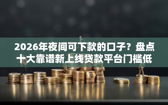 2026年夜间可下款的口子？盘点十大靠谱新上线贷款平台门槛低软件