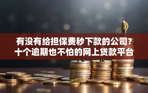 有没有给担保费秒下款的公司？十个逾期也不怕的网上贷款平台