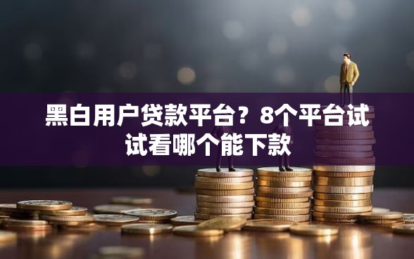 黑白用户贷款平台？8个平台试试看哪个能下款