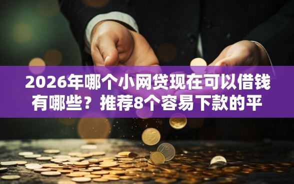 2026年哪个小网贷现在可以借钱有哪些？推荐8个容易下款的平台