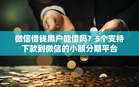 微信借钱黑户能借吗？5个支持下款到微信的小额分期平台