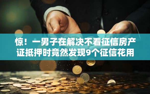 惊！一男子在解决不看征信房产证抵押时竟然发现9个征信花用什么贷款软件，事后分享了出来