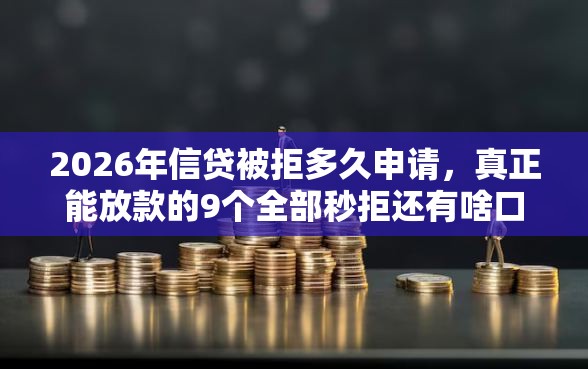 2026年信贷被拒多久申请，真正能放款的9个全部秒拒还有啥口子推荐
