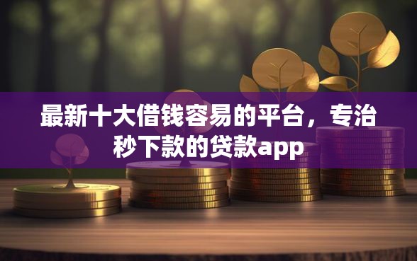 最新十大借钱容易的平台，专治秒下款的贷款app