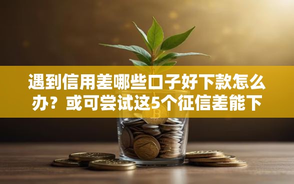 遇到信用差哪些口子好下款怎么办？或可尝试这5个征信差能下款的平台