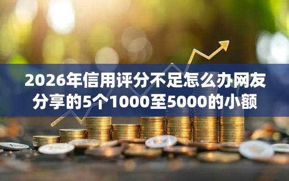 2026年信用评分不足怎么办网友分享的5个1000至5000的小额贷款app我觉得不错！
