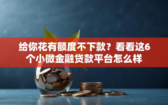 给你花有额度不下款？看看这6个小微金融贷款平台怎么样