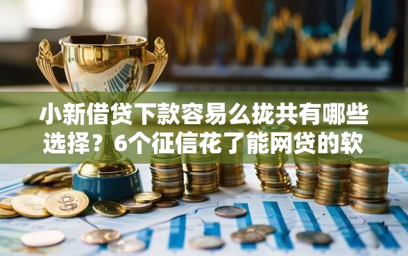 小新借贷下款容易么拢共有哪些选择？6个征信花了能网贷的软件详解
