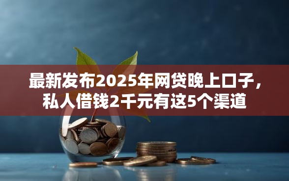 最新发布2025年网贷晚上口子，私人借钱2千元有这5个渠道