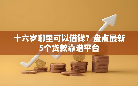 十六岁哪里可以借钱？盘点最新5个贷款靠谱平台
