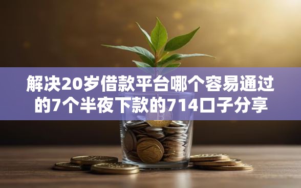 解决20岁借款平台哪个容易通过的7个半夜下款的714口子分享