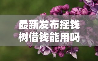 最新发布摇钱树借钱能用吗，私人借钱5000元有这6个渠道