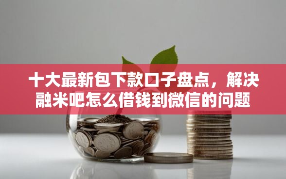 十大最新包下款口子盘点，解决融米吧怎么借钱到微信的问题