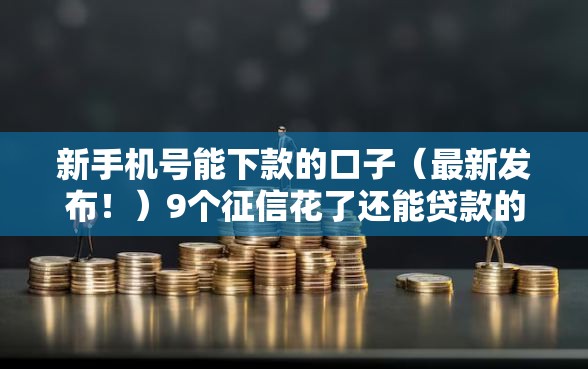 新手机号能下款的口子（最新发布！）9个征信花了还能贷款的正规平台