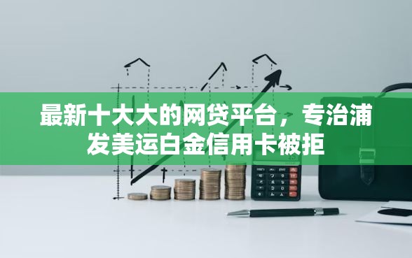 最新十大大的网贷平台，专治浦发美运白金信用卡被拒