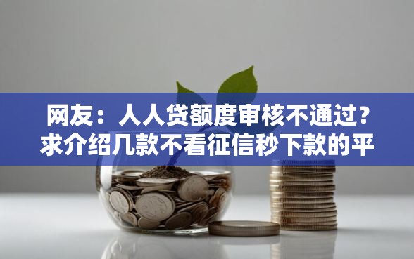 网友：人人贷额度审核不通过？求介绍几款不看征信秒下款的平台